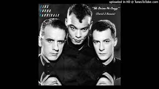 Fine Young Cannibals - She Drives Me Crazy (David Z Remix)