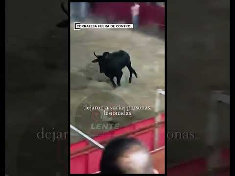 TORO SALTA A LAS GRADAS EN COYAIMA Y DEJA VARIOS LESIONADOS 📉🇨🇴🐂