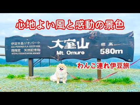 YouTube動画を再生