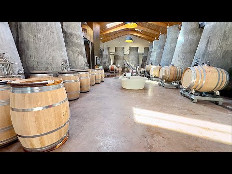Château Beauregard Wine Tour Review @ Pomerol Saint-Émilion Bordeaux France 🇫🇷