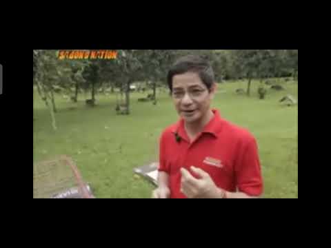 Gamefowl Methods with the late Dr. Teddy Tanchanco