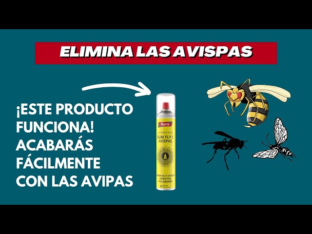 Vídeo relacionado con PREBEN Insecticida Avispas | Especial Avisperos 750 ml | Spray de Largo Alcance | Muy Eficaz para Avispas, Avispas Asiática y Avispones | Pulveriza hasta 4 Metros | Uso Exterior | Nexum Market