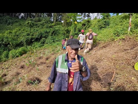 Moturiki Island Youth Group Projects: Planting Cassava For Money At Nuibasaga Village💰🇫🇯