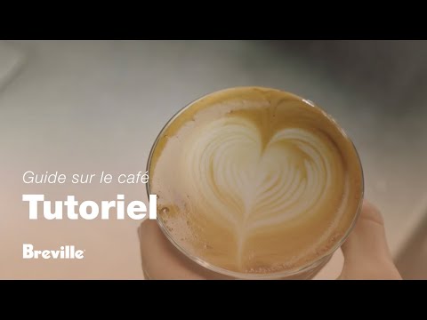 miniature vidéo