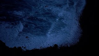 CIRCE (2022) · Tráiler oficial