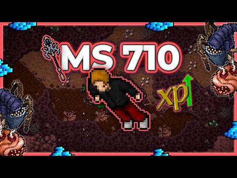 MS 710 Hunt Solo Deep Hub Fungus Dungeon (Warzone 6) 800k Profit/h - Tibia Hunt #tibia #tibiahunt