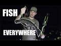 Bowfishing for ALIEN FISH in the Everglades