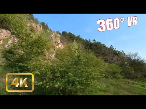 Walking in Forest #8 -  360 VR Video Tour - 4K - Harsova, Romania