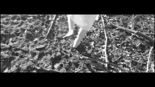 Grimes  Skin  Music Video