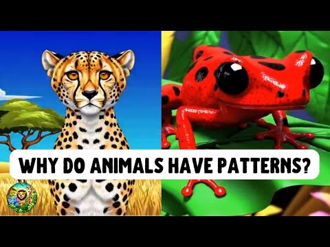 WHY DO ANIMALS HAVE SPOTS, STRIPES, OR BRIGHT COLORS? Fun Animal Facts for Kids & Families + QUIZ