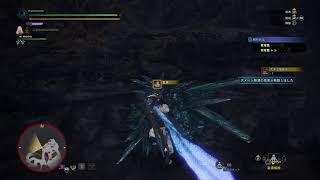 初の弓！！