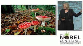 Living Soil. A universe Underfoot