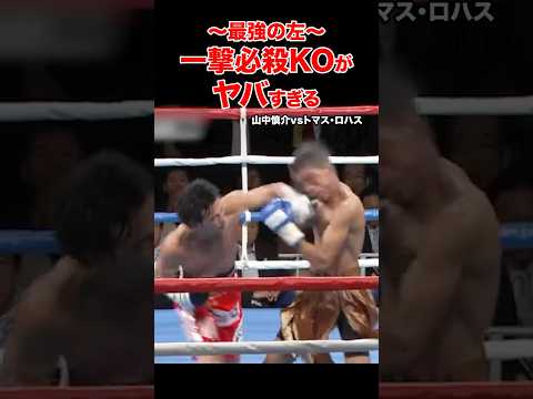 最恐の左で決めた圧巻の一撃必殺KO  #shorts#ko #ボクシング#格闘技