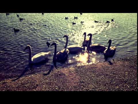 Marek Chyba - Marek Chyba- Peha-  spomaľ ( cover)