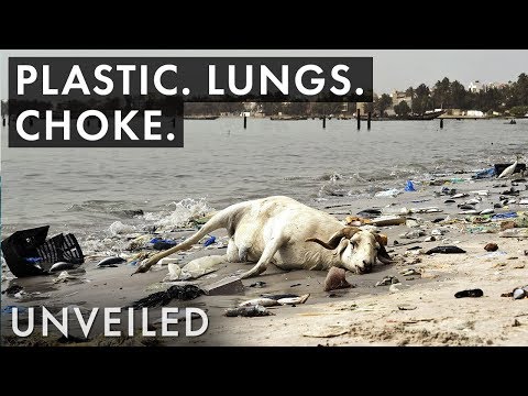 【環境教育】塑膠危機！再不停手會有什麼後果？ (What Happens When Plastic Pollution Gets Worse?)