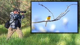 Birds at Sunrise - WILDLIFE PHOTOGRAPHY ADVENTURE