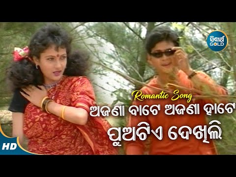 Ajana Bate Ajana Hate - Romantic Album Song - Ira Mohanty | ଅଜଣା ବାଟେ ଅଜଣା ହାଟେ | Sidharth Music