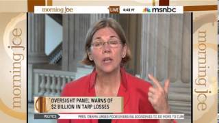 preview picture of video 'Elizabeth Warren Explains How The US Taxpayer Got Screwed In The TARP Bailout of Wall Street'
