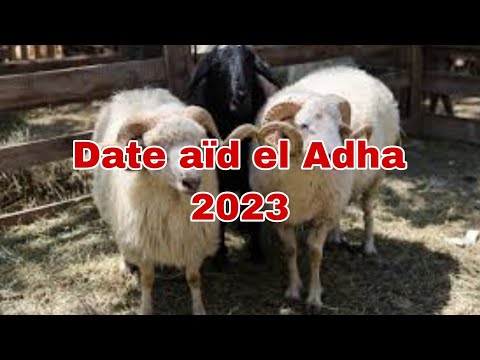 quelle sera la date Aïd-el-Kébir 2023 / Date aïd el Adha 2023