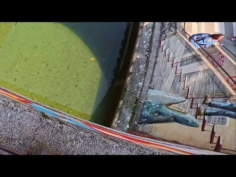 Delivery rider found a shark  |Watch Milan city with me on two 🛵 |naviglio milano| rider in milan