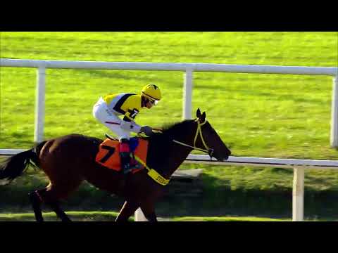 220514 c06 MI VIEJITO