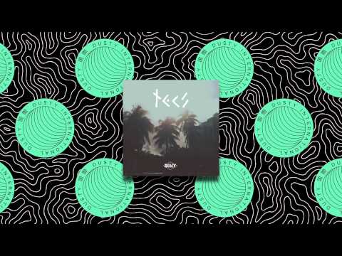 Tecs Evergreen  - Glass House