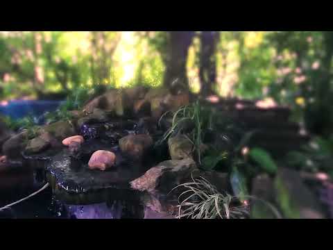 1 hour Vedic Traditional Music for Study, Focus and Meditation   Kafi Raga