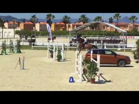 Forever, Mario Piasecki Sporthorses, 1,35m Oliva