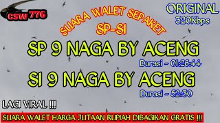 Download lagu SP SI 9 NAGA ORIGINAL By Aceng - BANYAK DNA SUARA PANGGIL BERKUALITAS DI SP INI - Suara Walet Respon mp3 Download lagu SP SI 9 NAGA ORIGINAL By Aceng - BANYAK DNA SUARA PANGGIL BERKUALITAS DI SP INI - Suara Walet Respon mp3