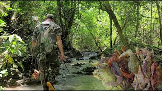 On a nice day, go to the stream to catch stone crabs, pick wild vegetables, cook, Set up a shelter..