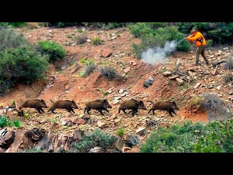 Hunting Wild Boar -Season :2026 || -KEMISSET -AIT MIMOUNE - PART 7
