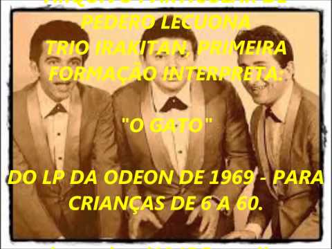 Olha O Gato - Trio Irakitan
