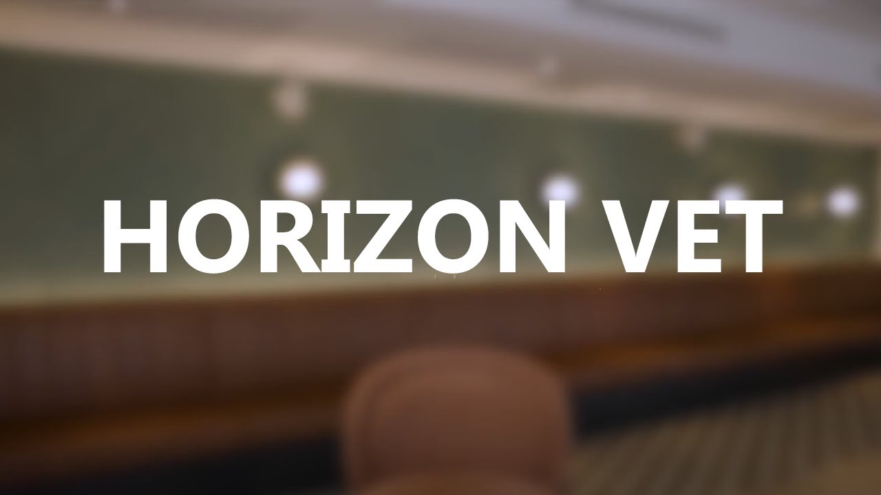 Horizon VET - New Video Series Coming Soon - Stay Tuned