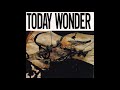 Ed Kuepper - If I Were A Carpenter