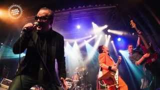 Blues Power Band - Seek & You Will Find