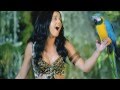 Katy Perry - Roar [Free Mp3 download] 
