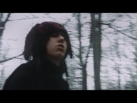 Video thumbnail for nomolestes