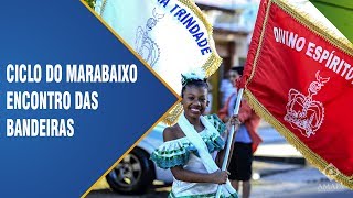 vídeo: Ciclo do Marabaixo: encontro das bandeiras