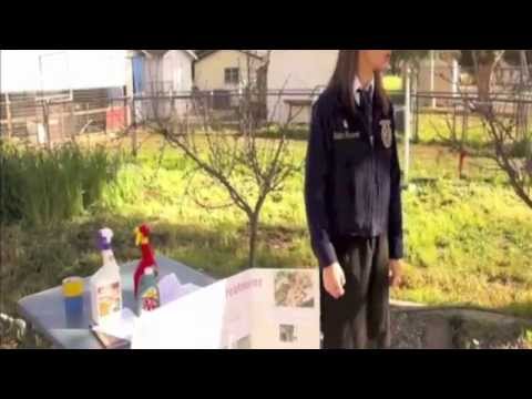 STARS over California | 87th CA State Conv - Session 1