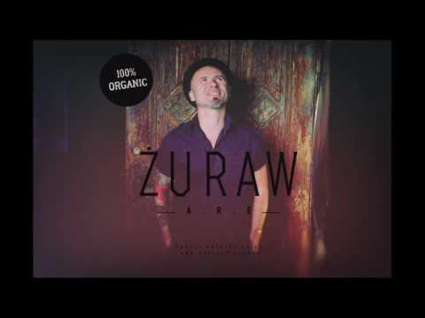 ZURAW A.R.E - NIE TĘDY, KTÓRĘDY WIODĄ TRENDY