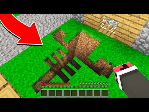 FERİTED VS WİTHER TÜNEL 🚇 - Minecraft