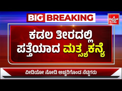 Breaking News: Mermaid caught in beach/Kannada breaking news updates