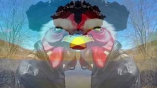 The Prefab Messiahs - "Sometimes Sunnydaze" [Official Music Video]