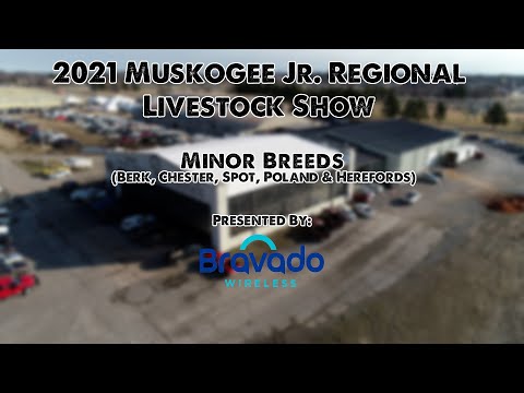 2021 Muskogee Regional Junior Livestock Show! | MINOR BREED SWINE