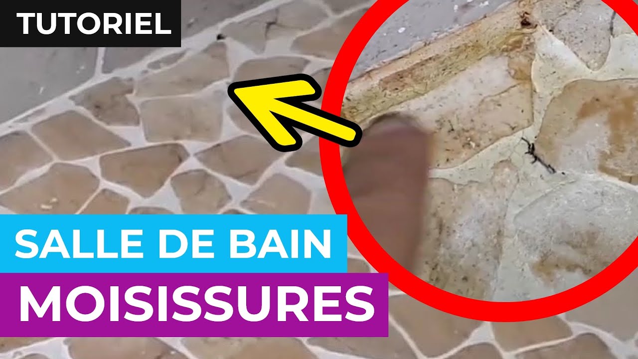 Comment enlever la moisissure sur la paroi de douche