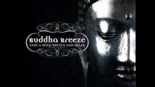 Buddha Breeze 2009 - Cosmic Orient - Calcutta blues