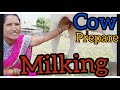 Viral Cow Prepare Milk Making Vlog Try