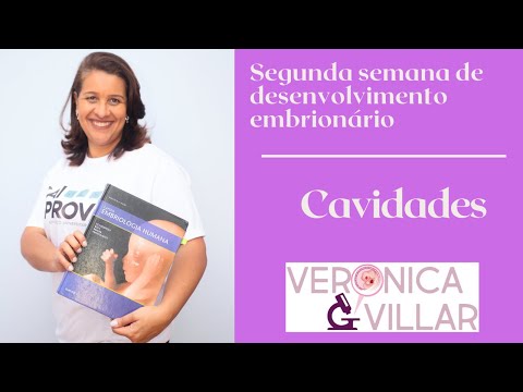Segunda semana do desenvolvimento embrionário. Cavidades.