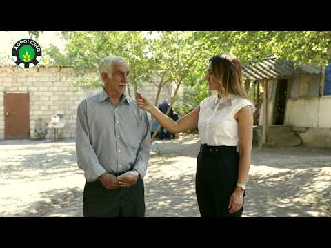 BİR BUĞDA ƏKMƏSƏN, MİN BUĞDA BİÇMƏZSƏN!