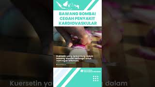 Khasiat Konsumsi Bawang Bombai Bagus untuk Kesehatan Tubuh: Cegah Penyakit Kardiovaskular